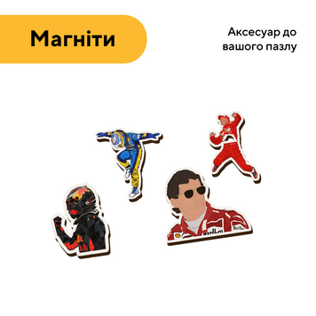Набір дерев'яних магнітів Пілоти болідів 25400 фото