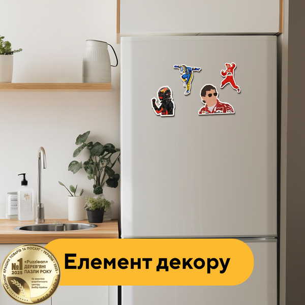 Набір дерев'яних магнітів Пілоти болідів 25400 фото