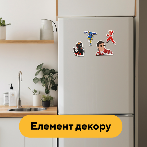 Набір дерев'яних магнітів Пілоти болідів 25400 фото